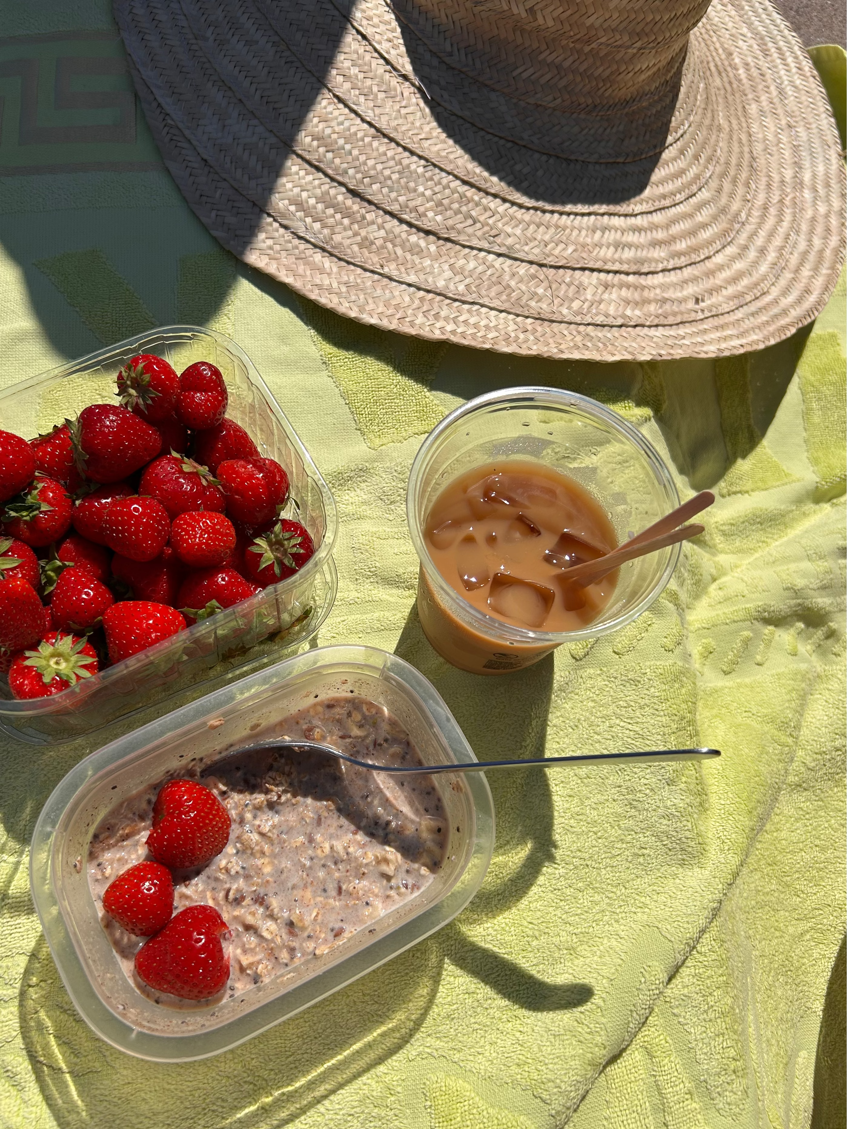 Apple-Cinnamon Performance Oats with Strawberries | Grit Farm